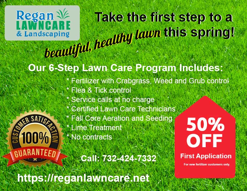 6-step care